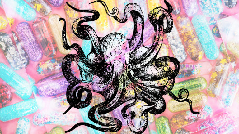 Scientists Gave Octopuses Ecstasy, Here’s What Happened