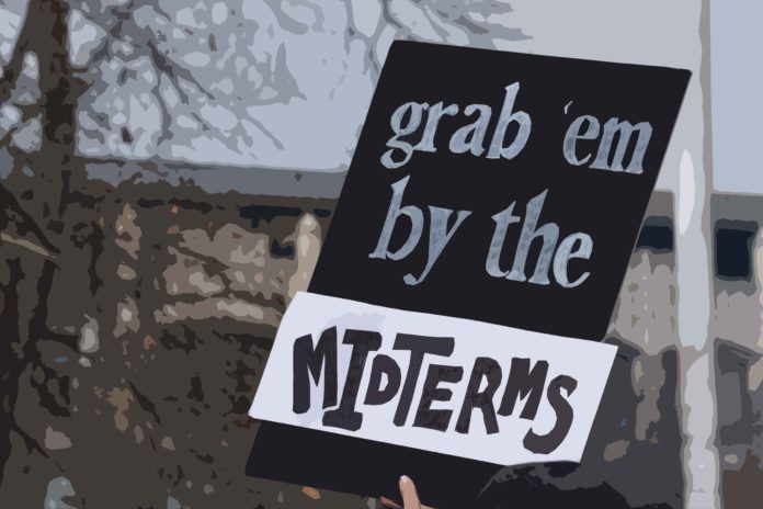 Grab-em-by-the-Midterms-CUTOUT