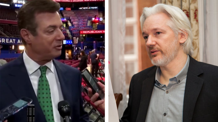 manafort assange