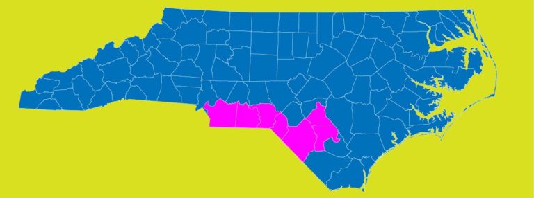The Election Fraud Allegations in North Carolina’s 9th Congressional District Explained
