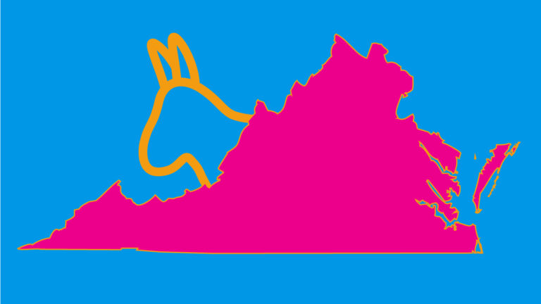 Virginia Democrats Achieve Simultaneous Faceplant