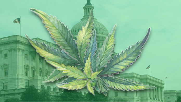 cannabis leaf superimposed on US capitol