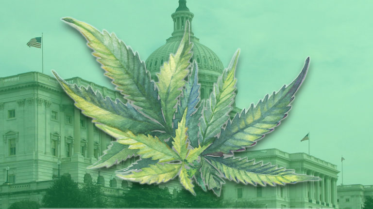 Federal Cannabis Regulation: Stuck in the Weeds